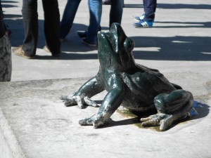 On Safari in Zaragoza