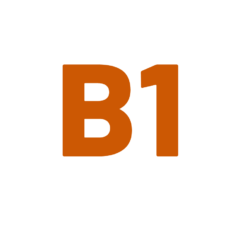 B1